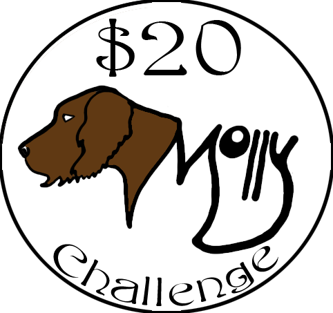 molly german wirehaired pointer dragged by truck $20 challenge